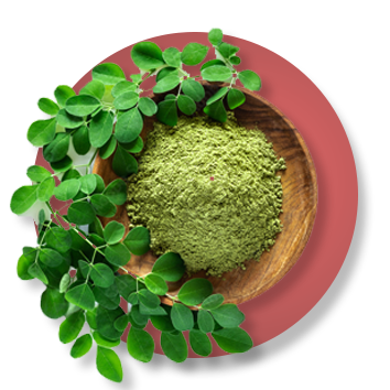 moringa